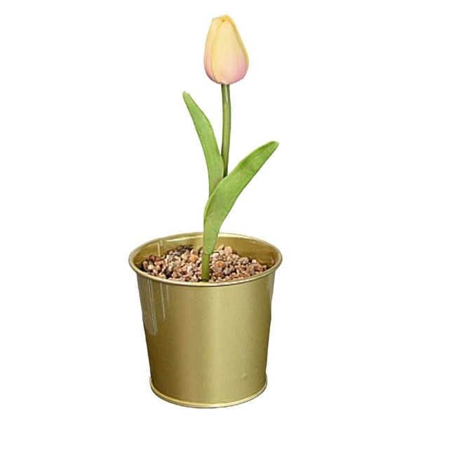 DAIDAI 다이다이 화분 미니화분 황동색 9cm