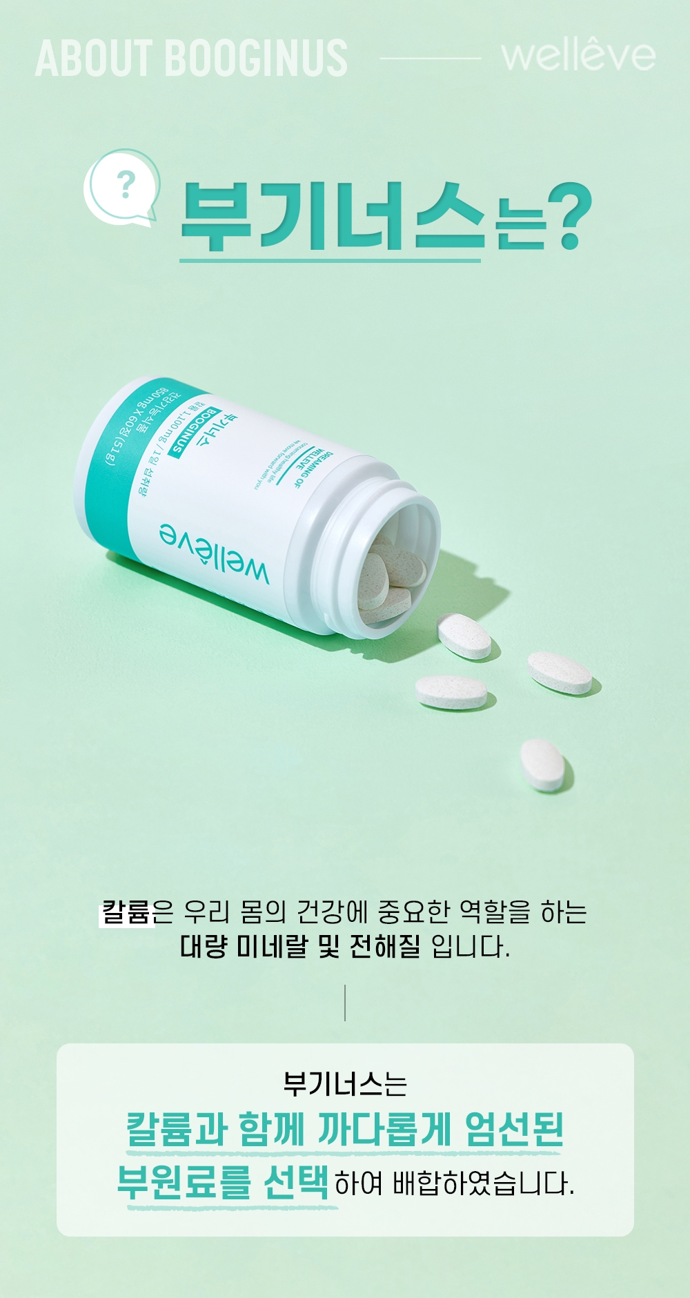 부기너스 리뉴얼11.jpg