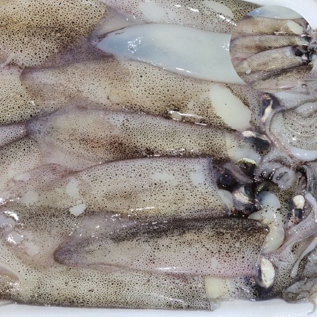해산물 한치오징어 냉동 총알한치 2kg