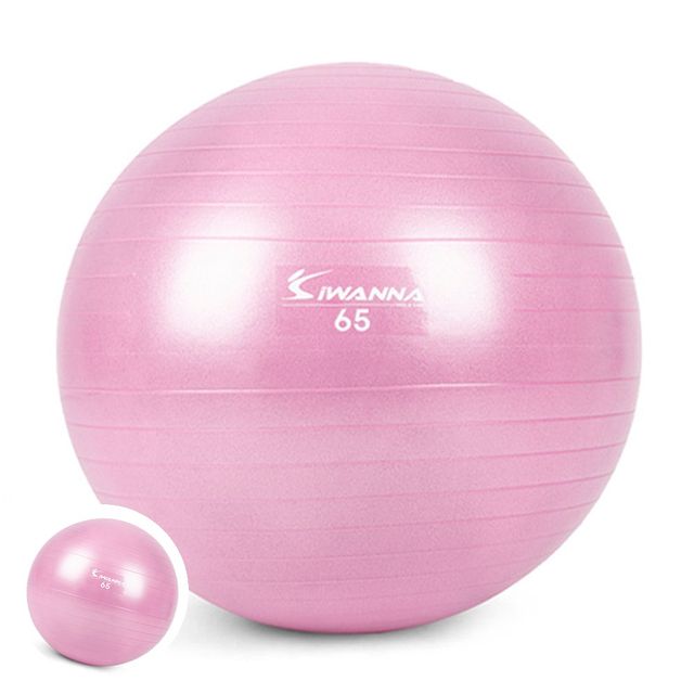 필라테스볼 필라테스짐볼 짐볼 다이어트짐볼 65cm 라일락 퍼플