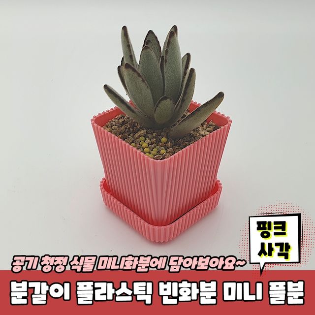 P1 분갈이 플라스틱 빈화분 미니 플분 핑크 사각 - 이미지 2
