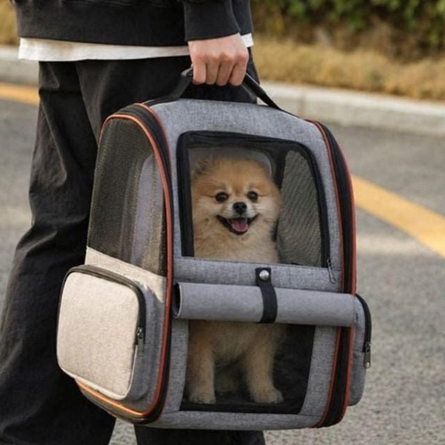 외출백팩 애완동물 이동캐리어 확장 기능 편한 강아지백팩