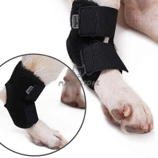 애견관절보호 관절보호 강아지용품