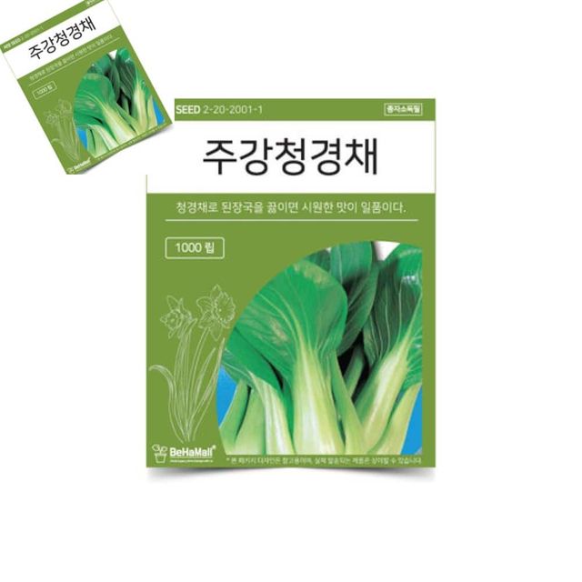 텃밭 채소 씨앗 주강 청경채 청경채씨앗 청경채종자 청경채키우기 야채씨앗