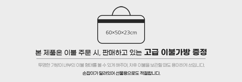 bag.jpg