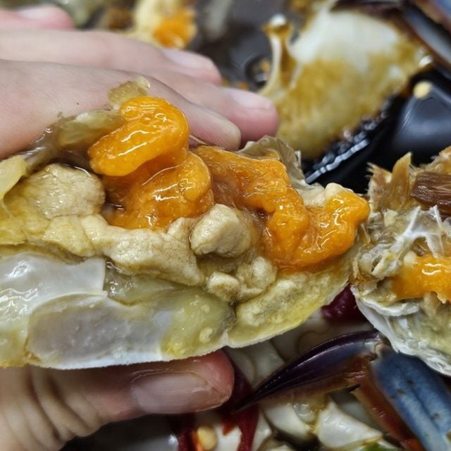 국내산 냉동 암꽃게 1kg 해산물꽃게살 급속냉동 손질게 가정용