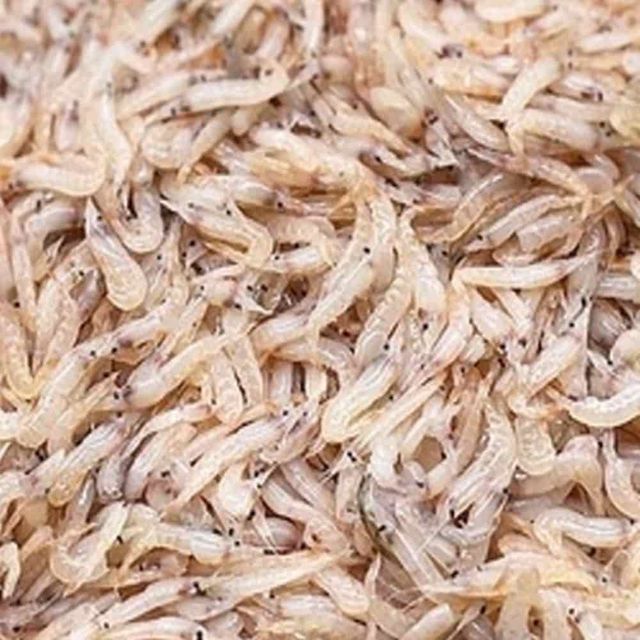 생새우 1kg 급냉새우 냉동수산물 새우조미료 급냉생새우