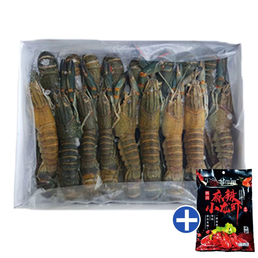 마라롱샤 냉동 민물가재 1kg 마라 소스 포함 캠핑 요리