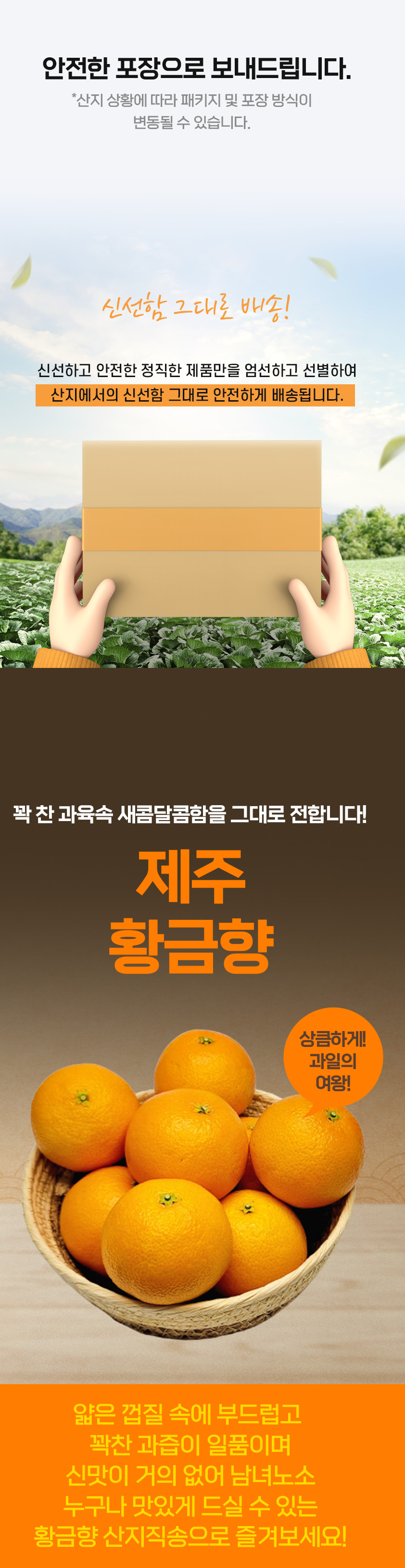 황금향-셀러ver-4.png