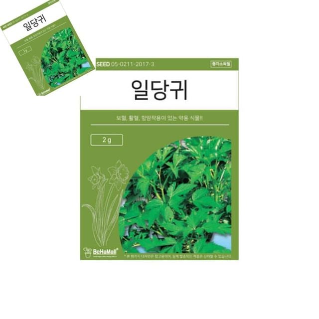 텃밭 채소 씨앗 일당귀 일당귀씨앗 텃밭용품 채소종자 씨앗종자