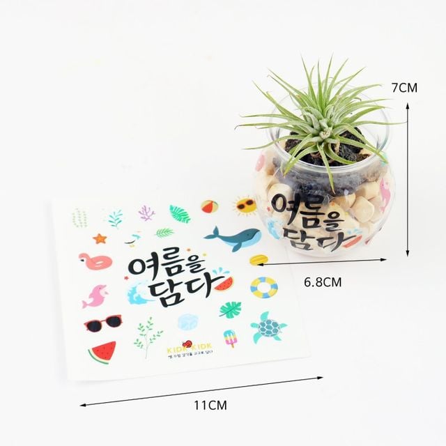 이오난사 편백 나무 공기정화 화산석 화분 만들기 패키지