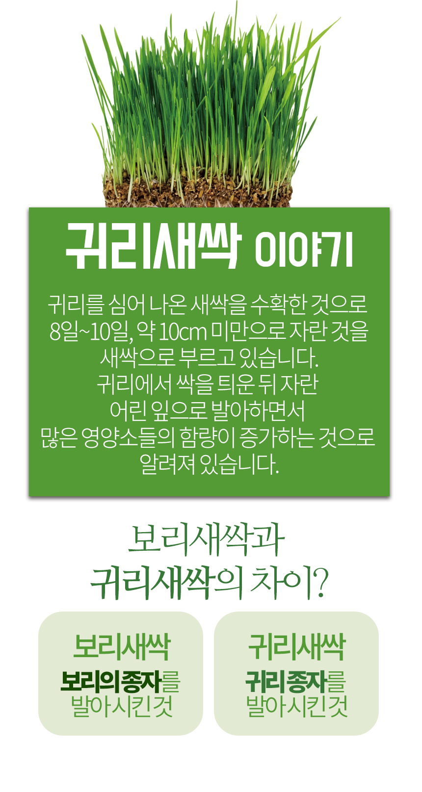 엄마애손_귀리새싹_03_shop1_121901.jpg