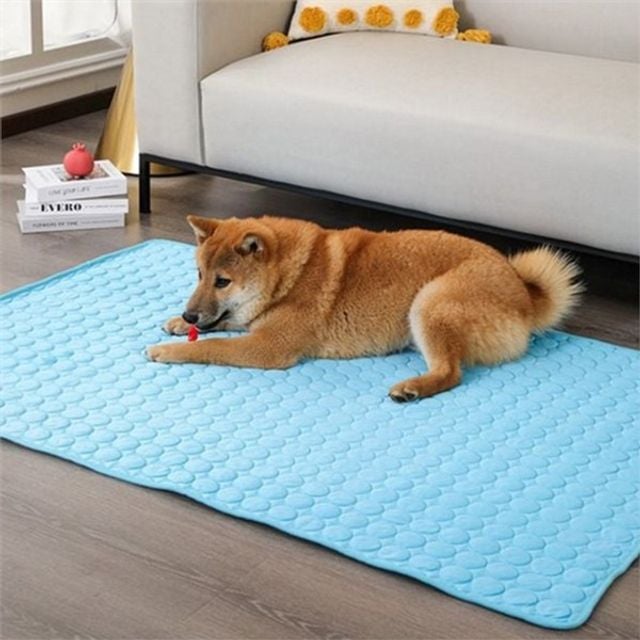 애견 쿨 매트 강아지 쿨 매트 반려동물 고양이 시원 여름 패드 방석