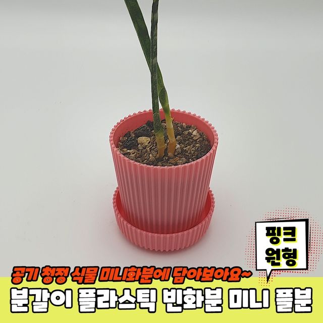 P1 분갈이 플라스틱 빈화분 미니 플분 핑크 원형 - 이미지 2