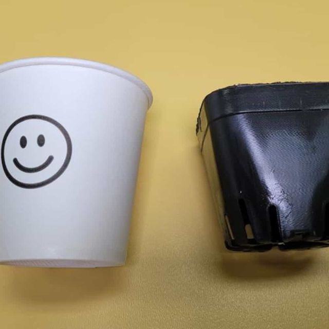 사각 검정 화분 6X6CM 사각화분 분갈이화분 플라스틱화분