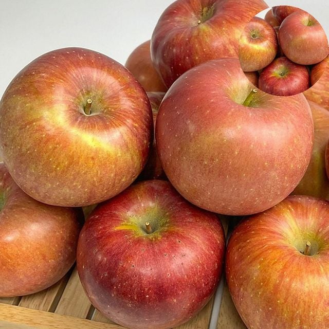 보조개사과 꿀부사 부사 특품 2kg 중과