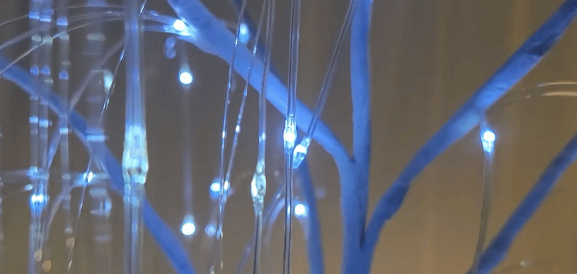 LED버드나무1.gif