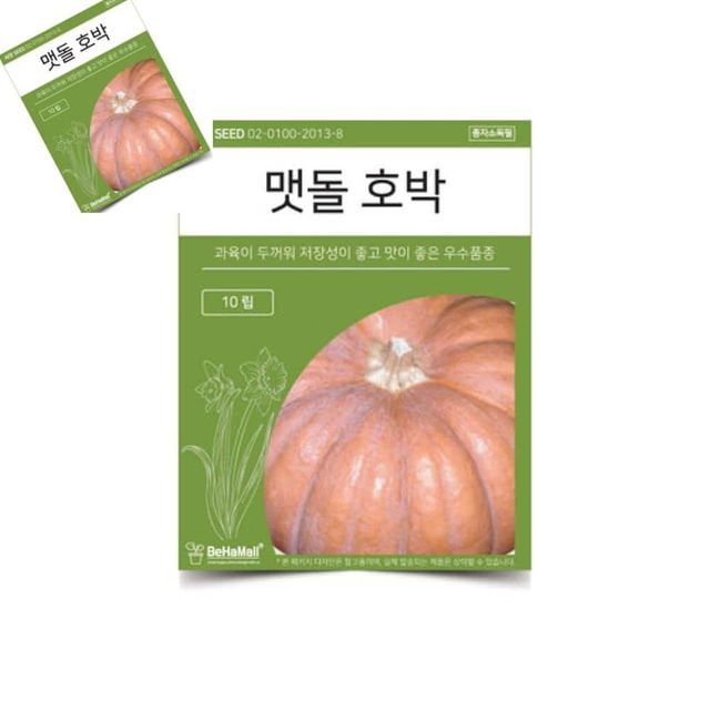 텃밭 채소 씨앗 맷돌 호박 호박씨앗 호박종자 호박키우기 식용씨앗