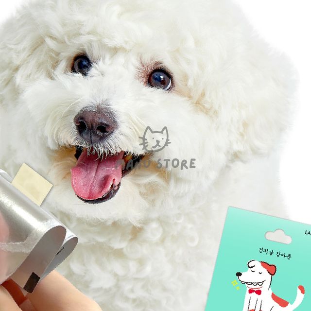 고양이치약 강아지입냄새치약 고양이덴탈필름