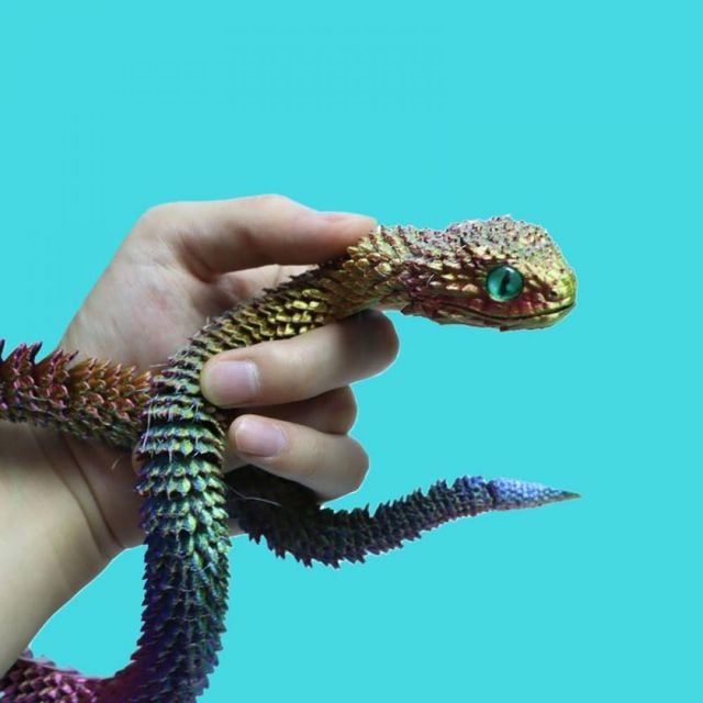 3D 프린트 뱀 피규어 파충류 드래곤 모델 키덜트 모형 아트토이