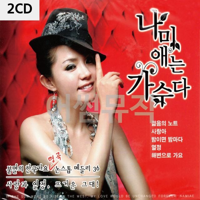 2CD 나미애는 가수다