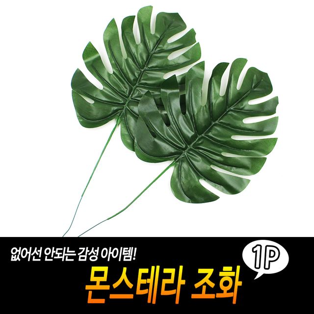 F1 몬스테라 조화 - 이미지 2
