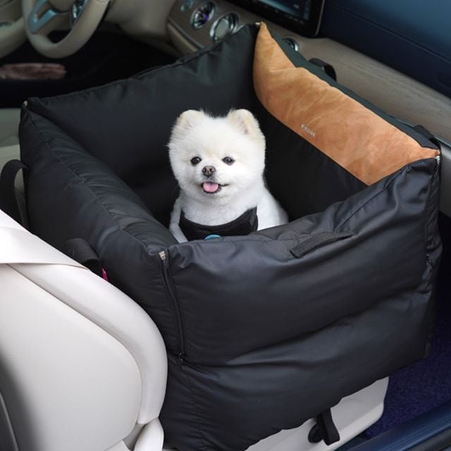 반려견카시트 강아지이동가방카시트 강아지차시트