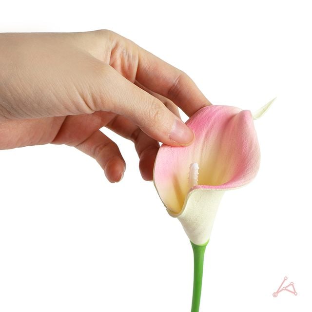 인테리어조화 카라조화 카라 조화