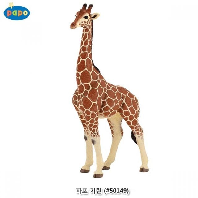 파포 동물 모형 기린