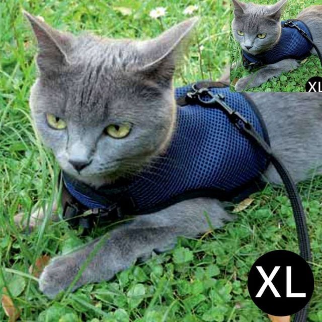 중형견하네스 반려견산책줄 조깅 하네스 네이비 XL 고양이 강아지용