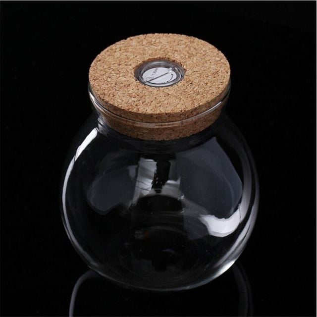 마리모 키우기 LED 코르크 유리병 12x13cm 코르크마개병 수경식물화병 수경식물키우기