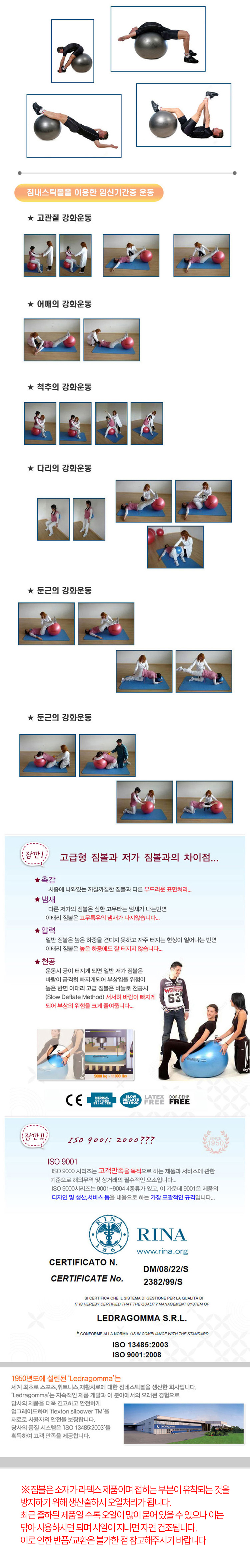짐볼,헬스,운동기구