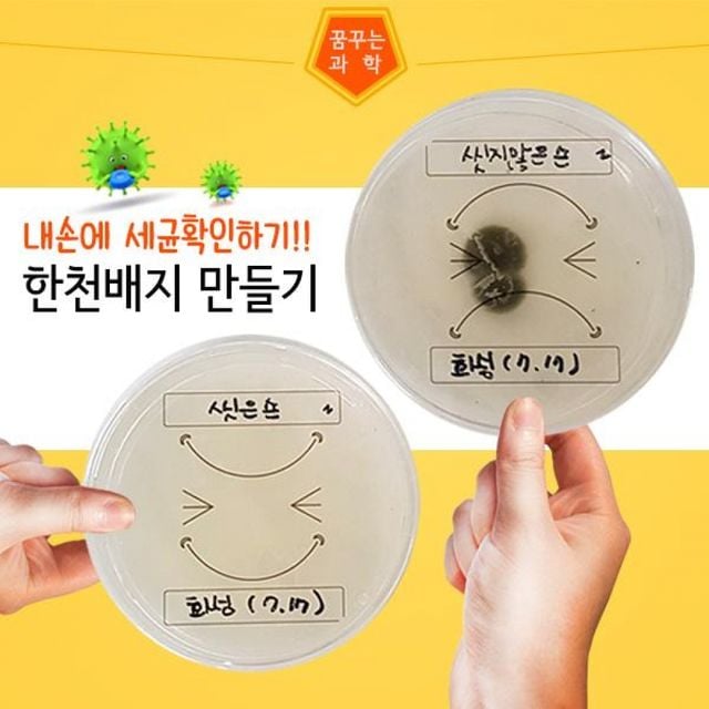 한천배지 과학 실험 만들기키트 과학실험 키트 실험키트 초등과학실험 놀이 어린이