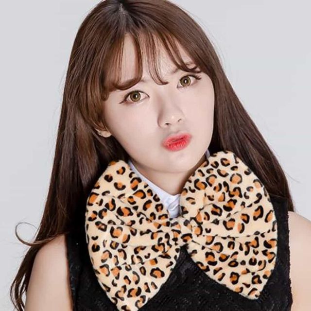 호피넥타이대 귀여운헤어밴드 레오파드머리띠