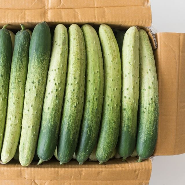 국내산 백다다기오이 특품 / 1kg (5~8개 내외)