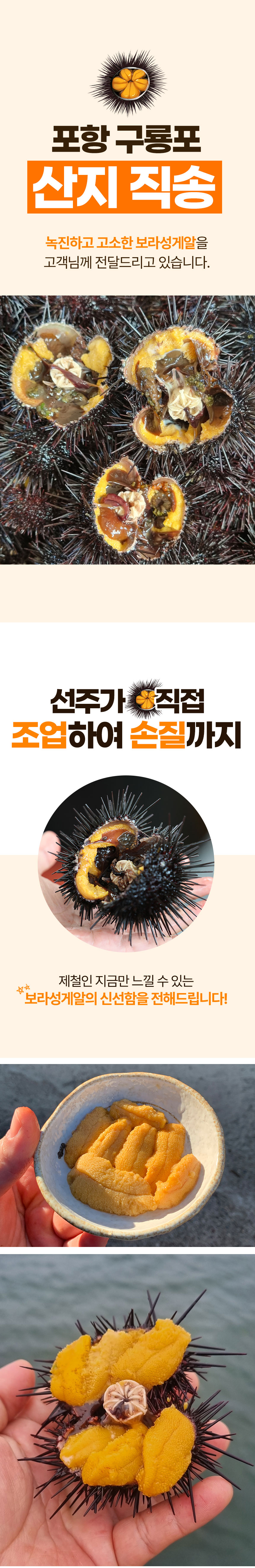 성게알,생물우니,제철성게알,국내산성게알,보라성게알,손질성게알,산지직송