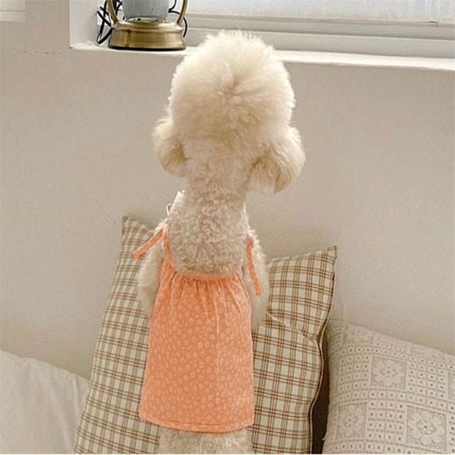 강아지 원피스 애견여름옷 소형견옷 강아지꽃무늬원피스