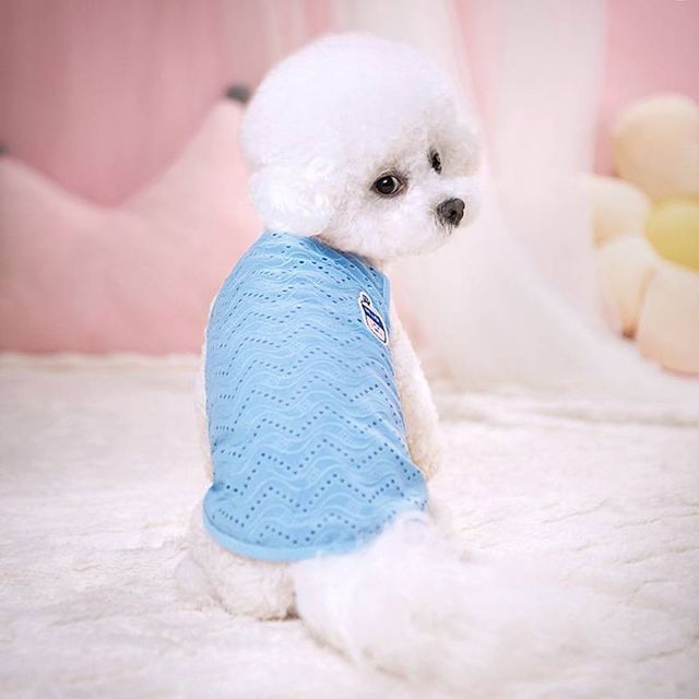 여름나시 강아지 얇은 메쉬 외출복 반려견 통기성 티셔츠