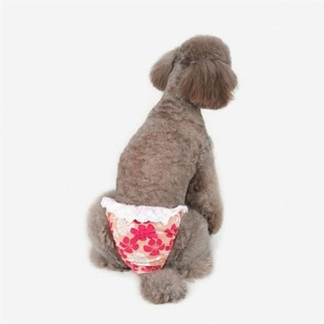 강아지 생리 팬티 강아지 순면 팬티 중소형견 꽃무늬 발정기 위생 여아 암컷