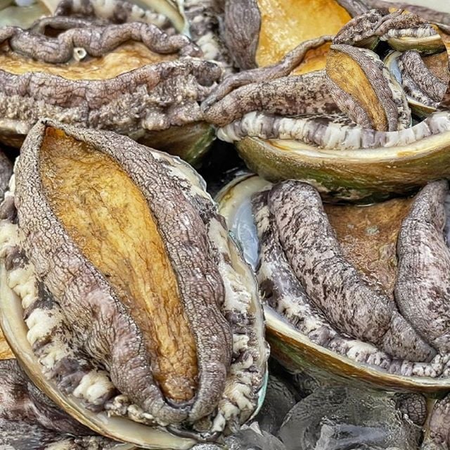 완도수산물 신선전복 활전복 1kg 대