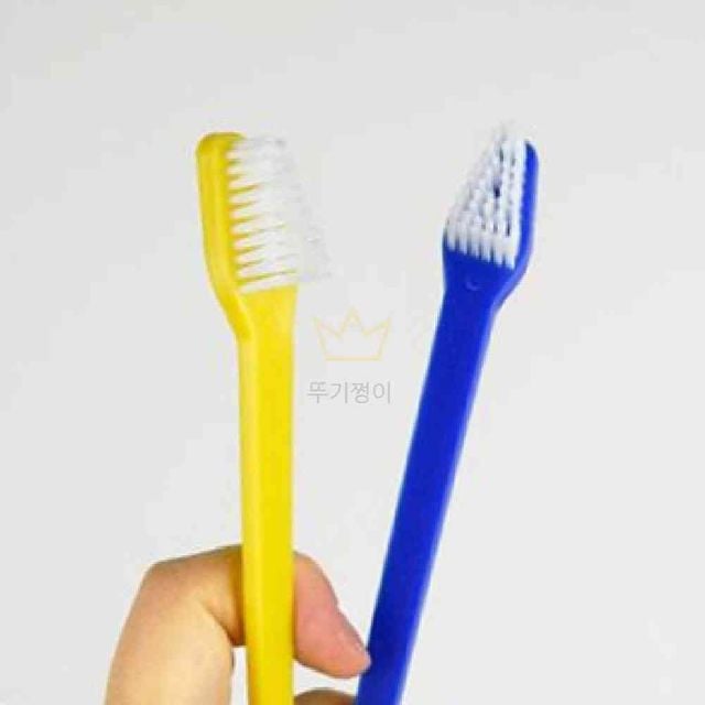 애견 칫솔 강아지어금니칫솔
