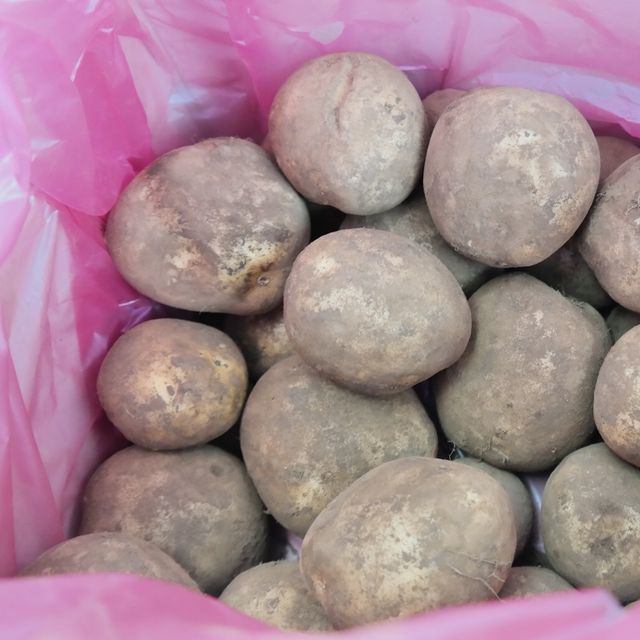 제주 무농약 탐나감자 5kg, 혼합 크기 신선한 농산물