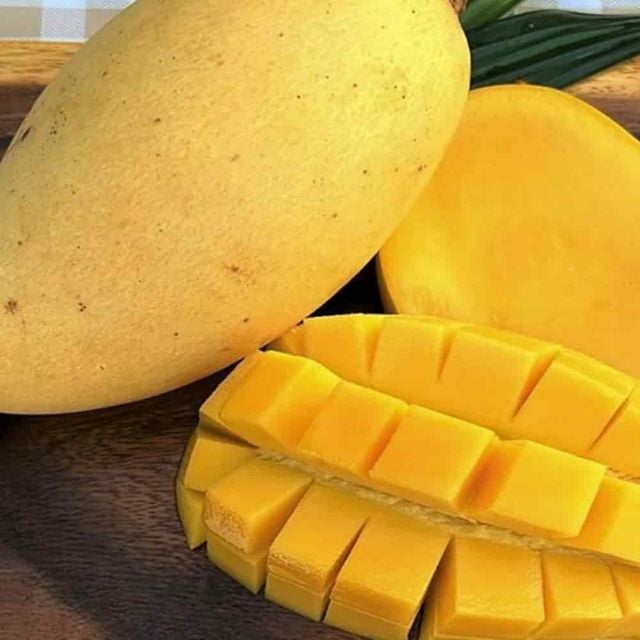 태국망고 2kg 망고박스 디저트과일 달콤한과일 열대과일