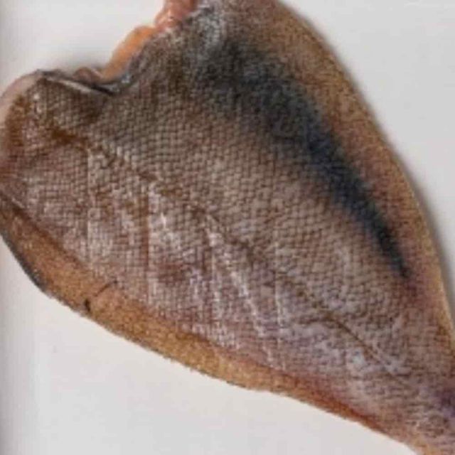 반건조참가자미 20미 건조생선 흰살생선 국내산가자미 제철생선