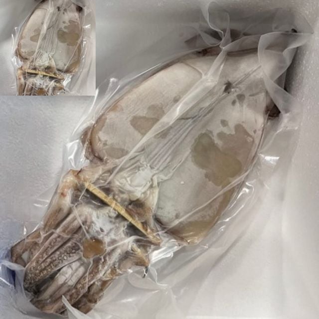 피데기 반건조 오징어 20미 건조오징어 해산물 간식 구이용
