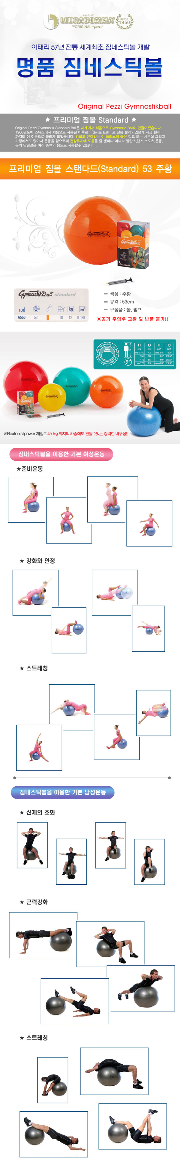 짐볼,헬스,운동기구