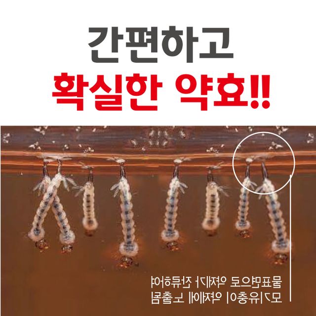 베타린과립 100g 모기유충 제거제 퇴치제 정화조 약 - 이미지 5