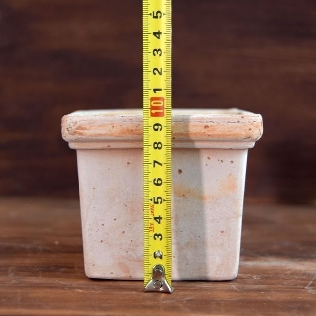 이탈리아 데로마토분 사각 미니 베이비팟 11x10cm - 이미지 5