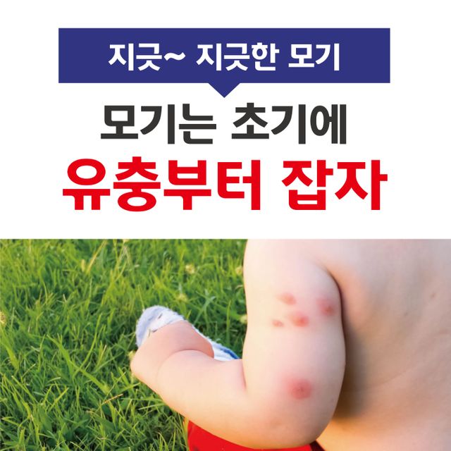 베타린과립 100g 모기유충 제거제 퇴치제 정화조 약 - 이미지 3