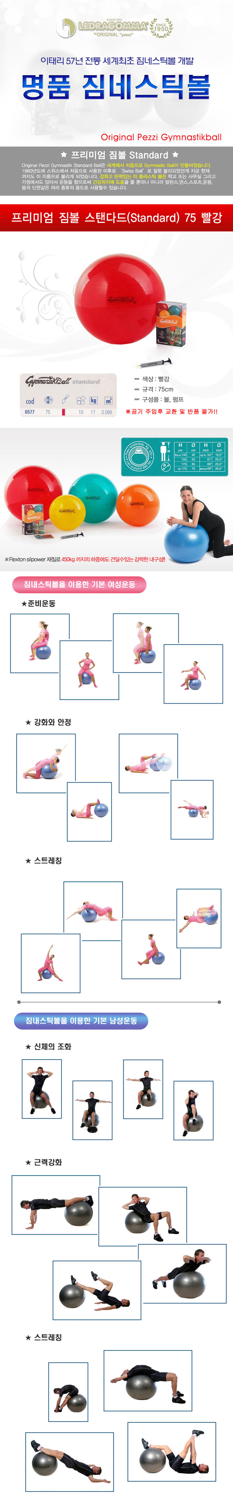 짐볼,헬스,운동기구
